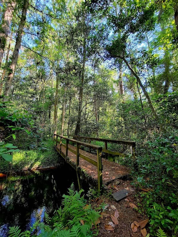 Robert Simpson Nature Trail - Image 2