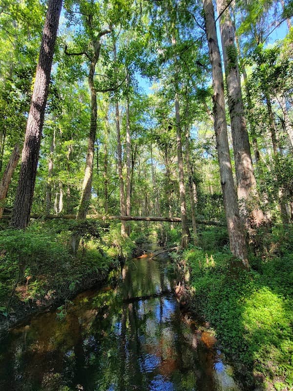 Robert Simpson Nature Trail - Image 1