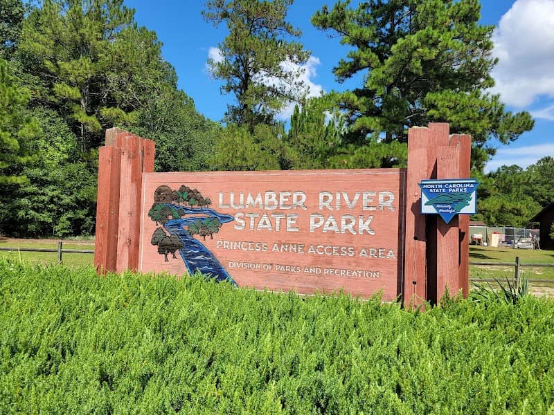 Lumber River State Park - Image 1