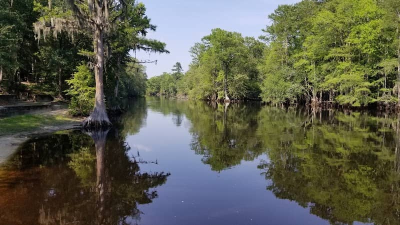 Lumber River State Park - Image 2
