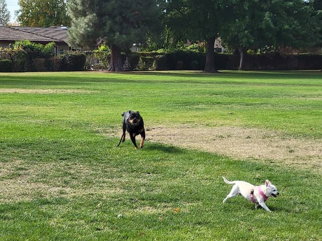 Greenwood park - Image 2