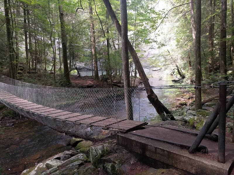 Foster Falls Recreation Area - Image 2