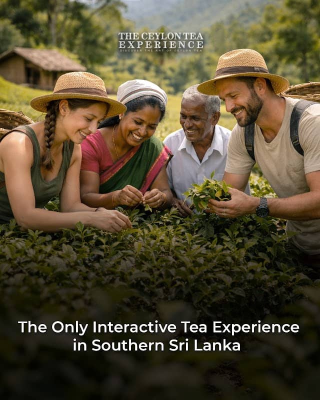 The Ceylon Tea Experience - Galle - Image 1