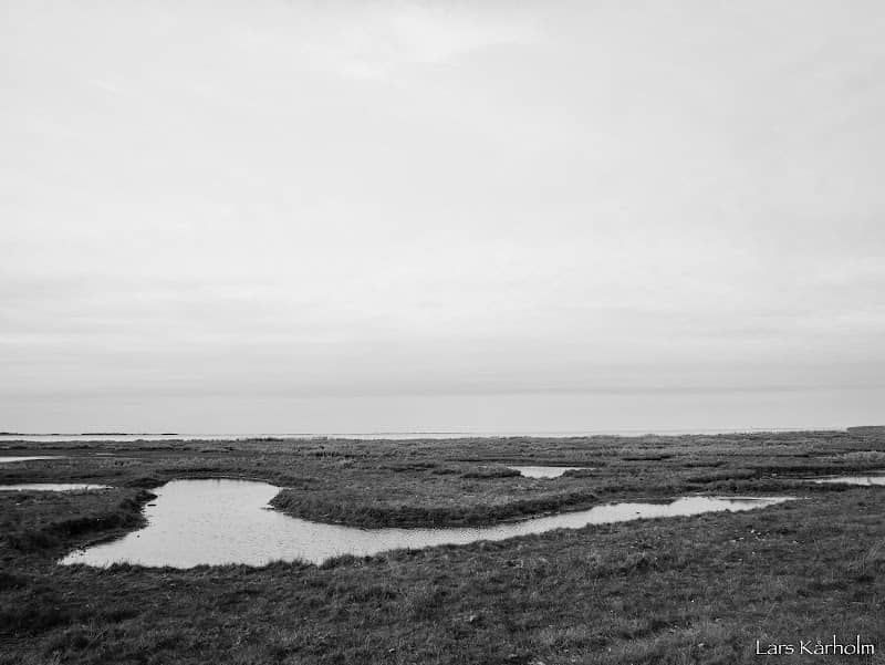 Vällinge meadows - Image 1