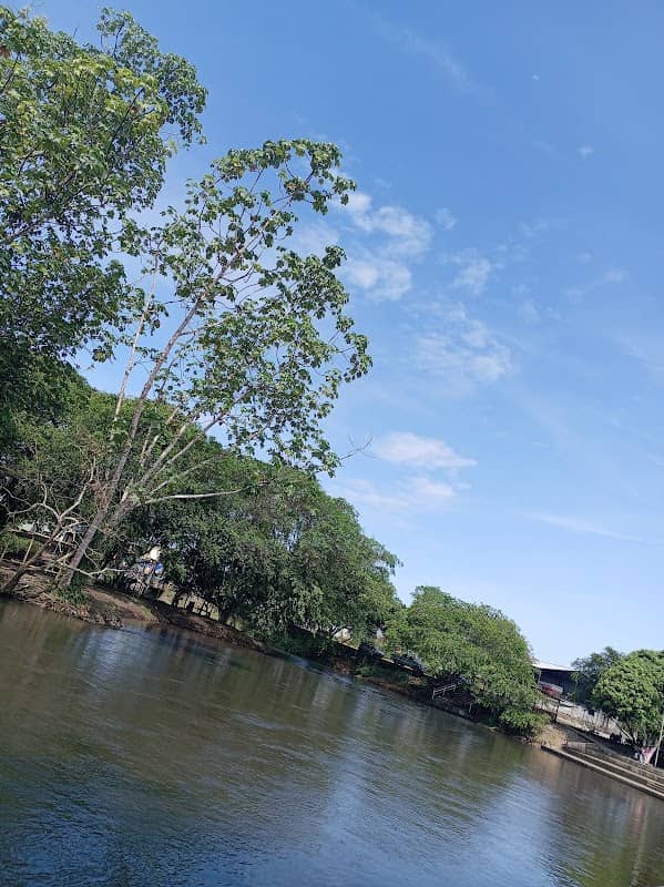 Asociacion Encanto Amazonico El Eno - Image 2