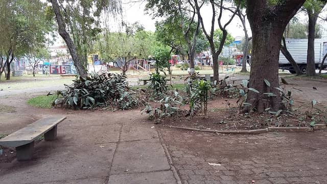 Revitalization project Parque Vila Barros - Image 1