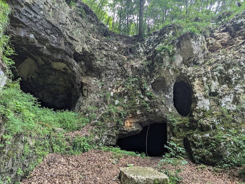 Cave of the Bear - Image 1