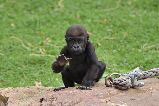 Zoo Krefeld - Image 1