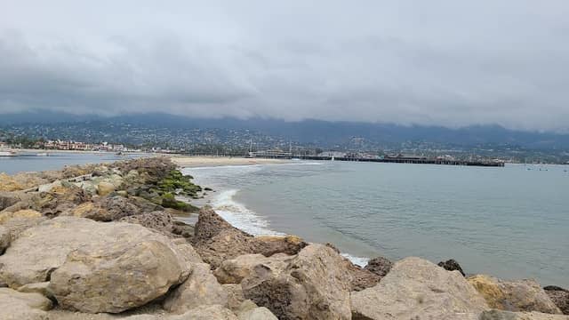 Santa Barbara Fox - Image 2