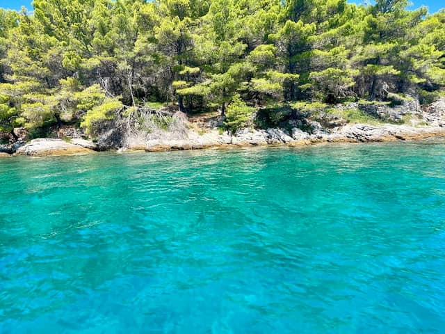 Zaljev Juz Franza - Image 1