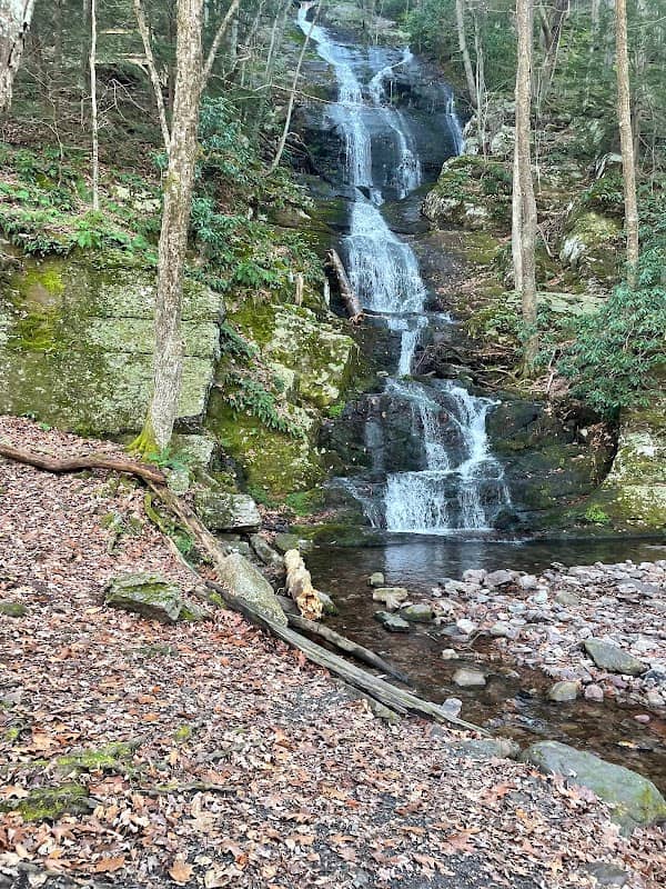 Stokes State Forest - Image 1