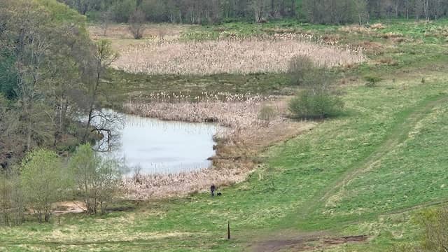 Hownsgill Pond and Wetland - Image 2