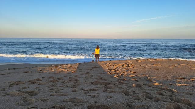 Kent Bay Beach - Image 1