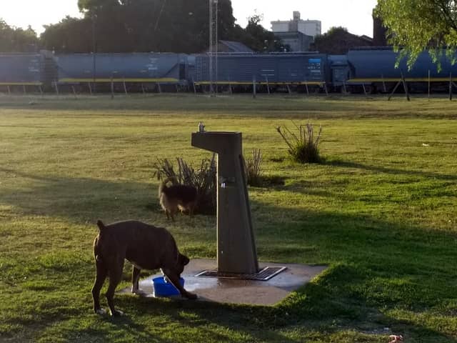 niñez Park - Image 1