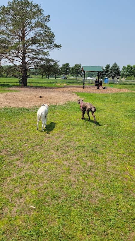 Sartell Dog Park - Image 1