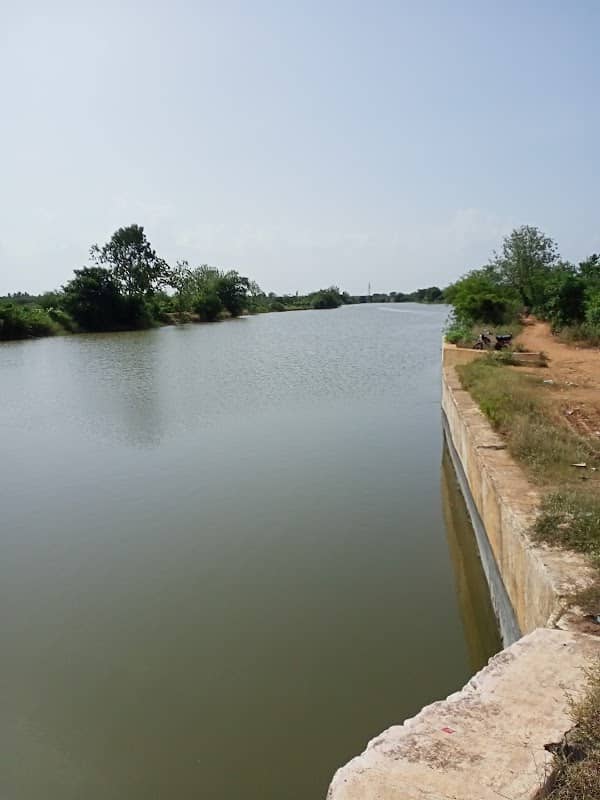 Pappa Veli Palayakkottai River - Image 2