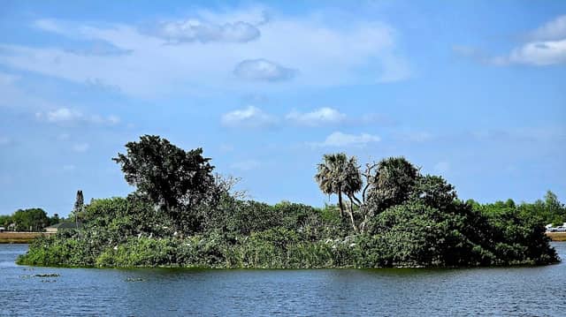 Okaloacoochee Lake - Image 1
