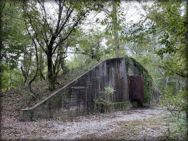 Woodlands Conservancy’s Woodlands Trail - Image 1