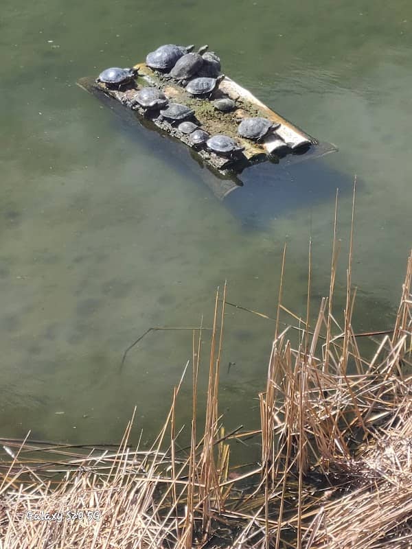 Fountain Creek Nature Center - Image 2