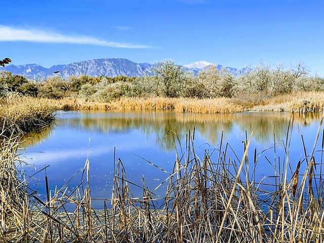 Fountain Creek Nature Center - Image 3