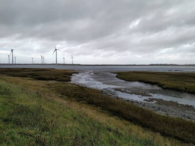 Natuur kijkpunt - Image 1
