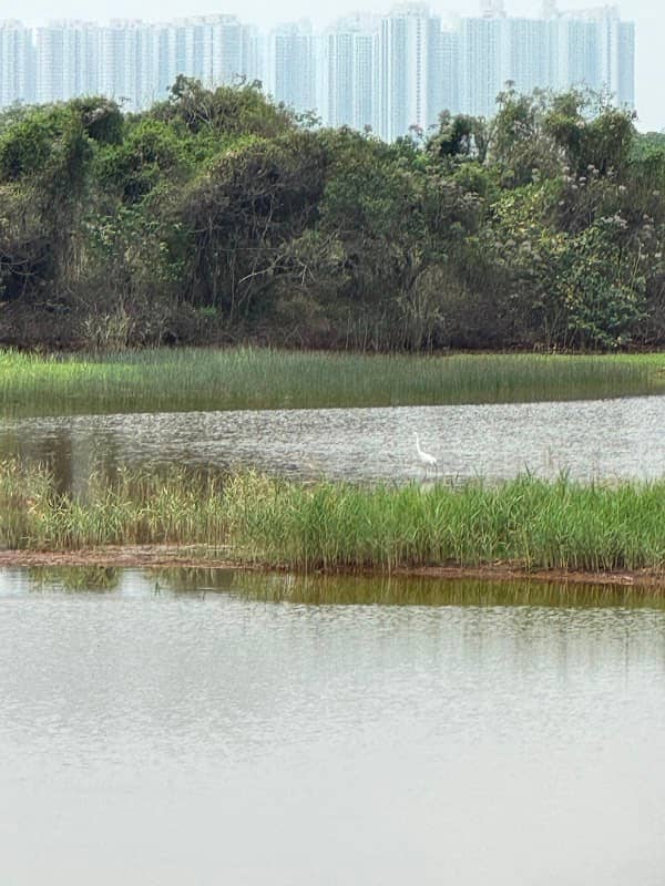 Jockey Club Kingfisher Tower Hide - Image 3