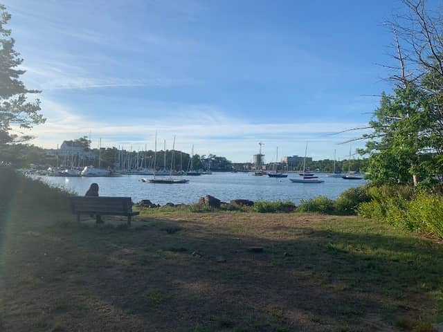 Deadman's Island Park - Image 2
