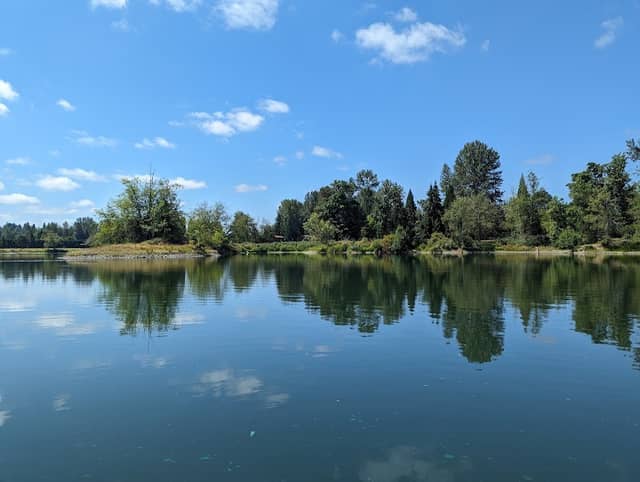 South County Park Wallace Pond Toledo - Image 2