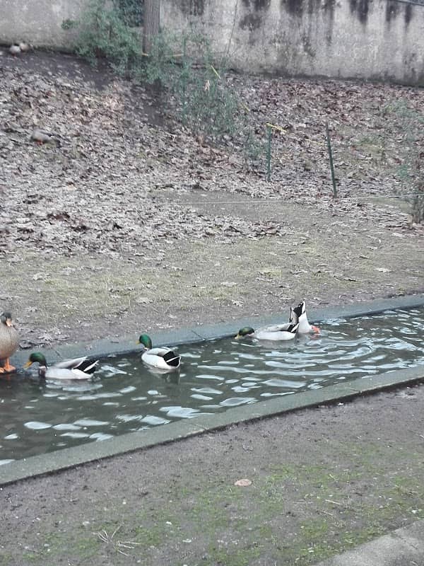 Parco La Fossa - Image 2