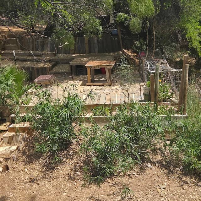 Manadas Creek Park - Image 1