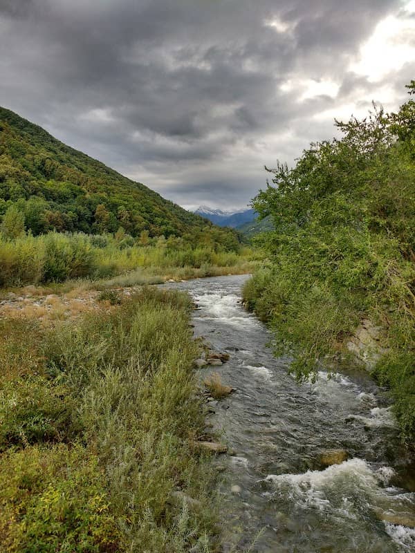 Popolomigratore - Image 1