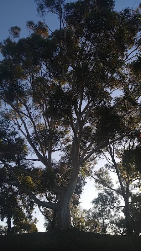 Joondanna Reserve - Image 2
