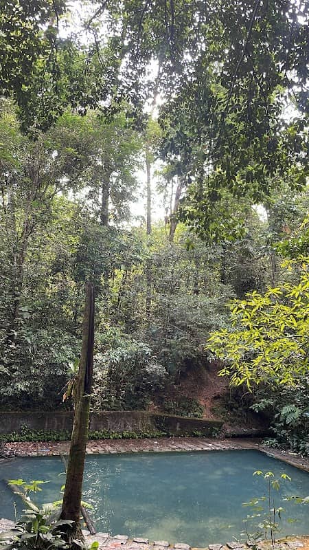 Piscina Natural Metropolitana - Image 1