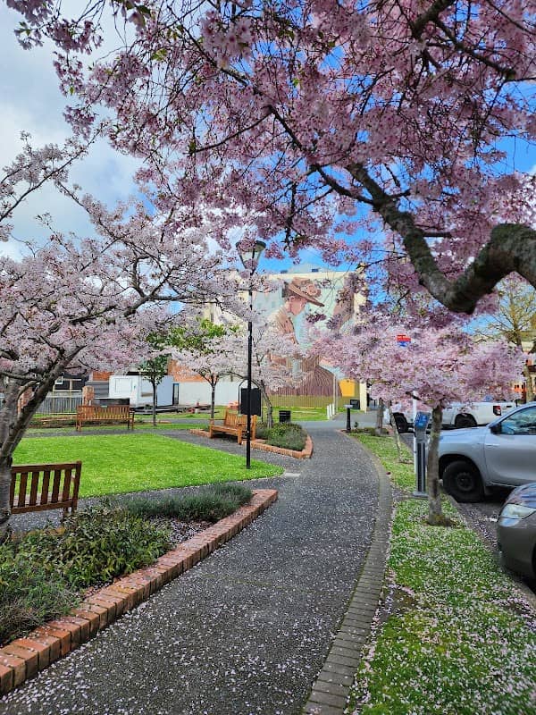 Cherry blossom park - Image 2