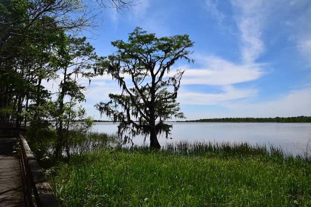 Historic Blakeley State Park - Image 1