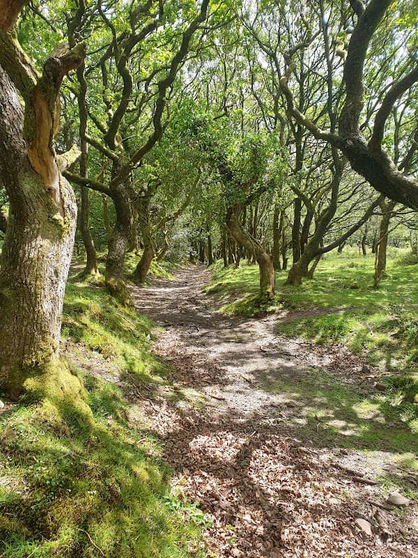 Dead Woman's Ditch - Image 1