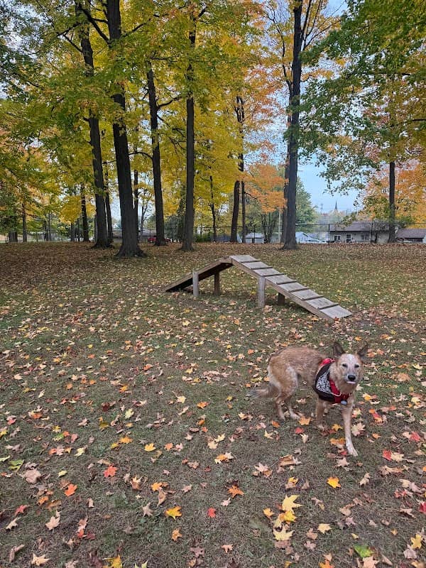 Bucholtz Park - Image 2