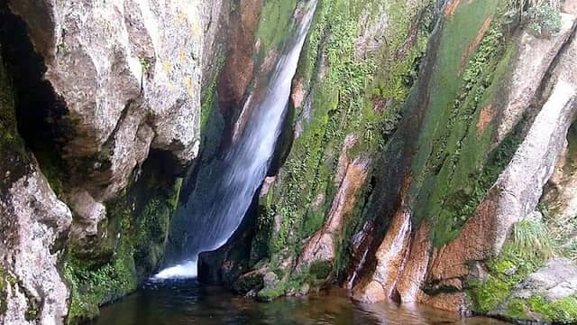Fuente del Caminante - Image 2