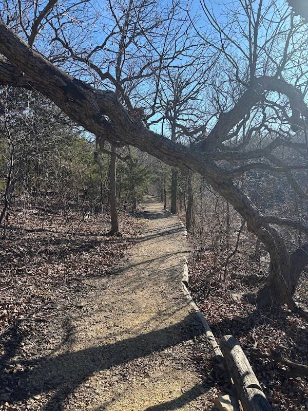 Cedar Ridge State Park - Image 2