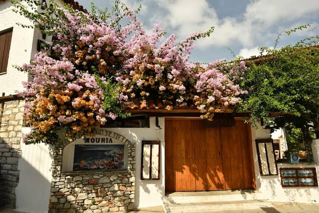 Skiathos old town alleyways & traditional houses - Image 3