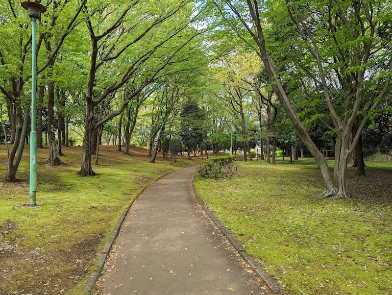 Kasahata Park - Image 1