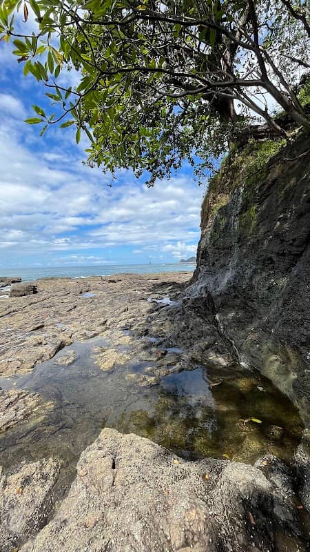 Playa Chanchitos - Image 1