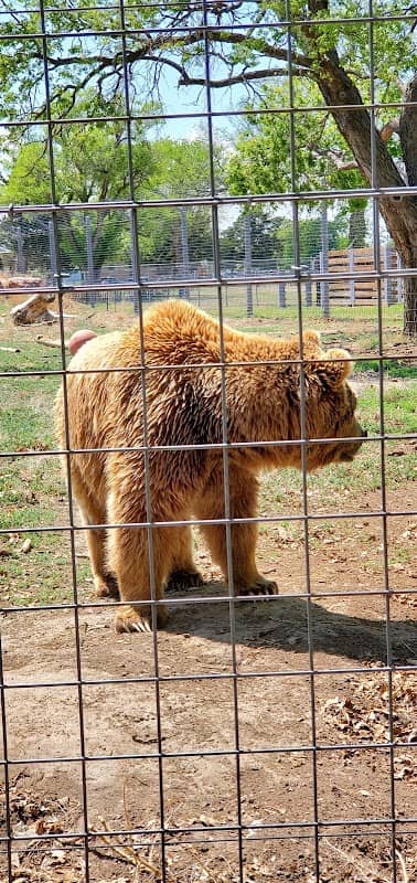 Great Bend Brit Spaugh Zoo - Image 1