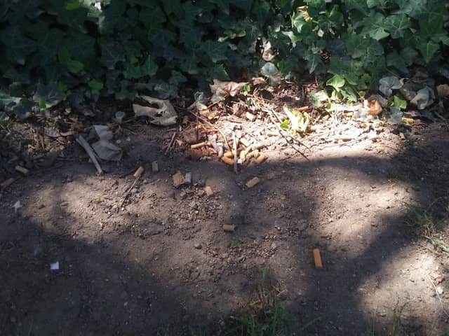Creekside Park - Image 1