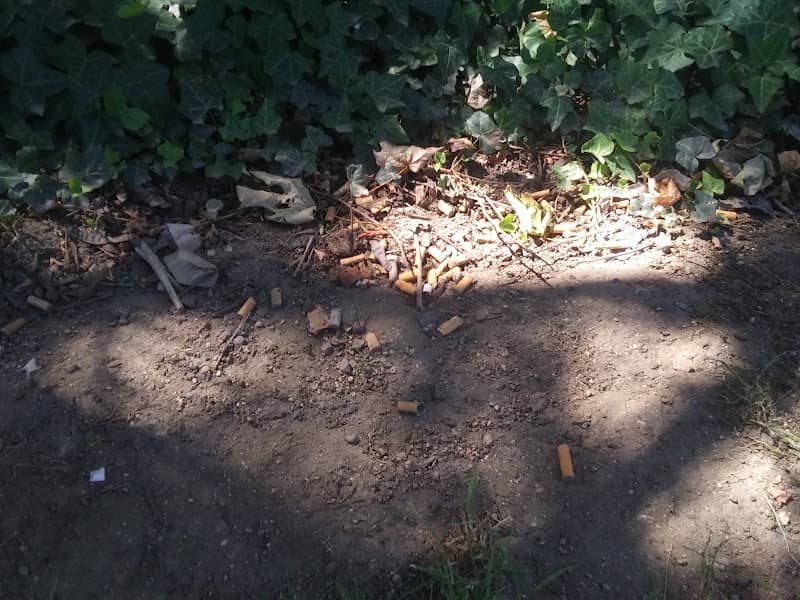Creekside Park - Image 1