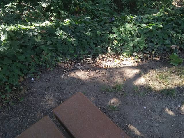 Creekside Park - Image 2