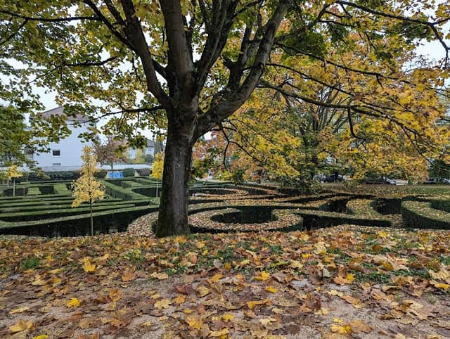 Gatschina Park - Image 2