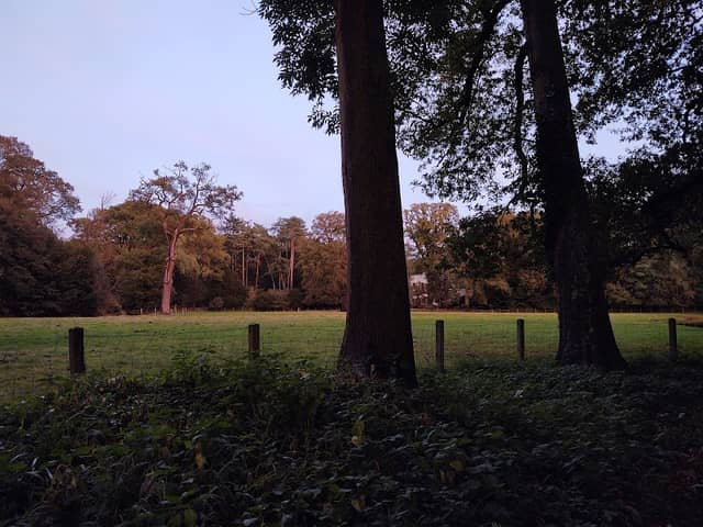 Wavo-Park - Image 1