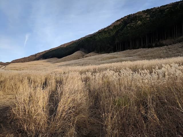 Sengoku plateau 仙石高原 - Image 3
