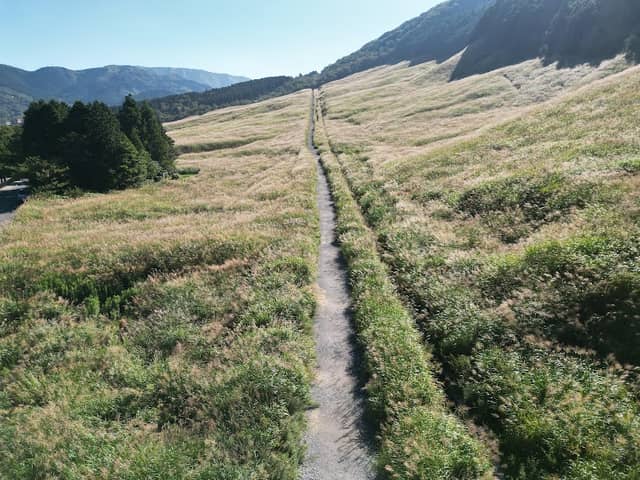 Sengoku plateau 仙石高原 - Image 2